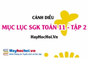 Mục lục SGK Toán 11 tập 2 Cánh diều - Lý thuyết và bài tập Toán 11 tập 2 Cánh diều